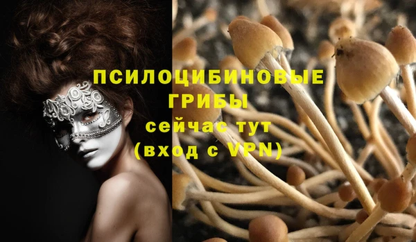 бошки Абинск